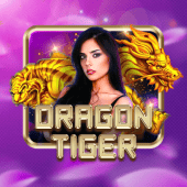 Dragon Tiger phspin login review
