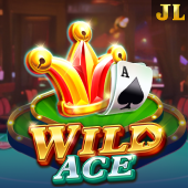 Wild Ace phspin login slot